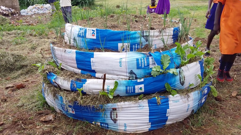 Annual Permaculture School Outreach Expo 2025 Inspires Sustainable Learning in Kamuli