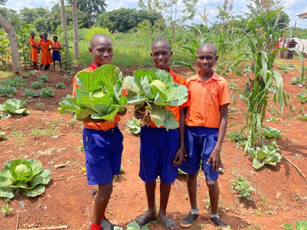 Flourishing School Gardens in Kamuli Showcase the Power of Permaculture Clubs